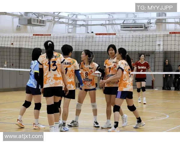 排球之美:深入探讨杭州排球队的战术与技术创新之路 排球之美:深入探讨杭州排球队的战术与技术创新之路