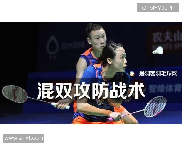 武汉羽毛球队与杭州羽毛球队赛后战术分析与总结探讨