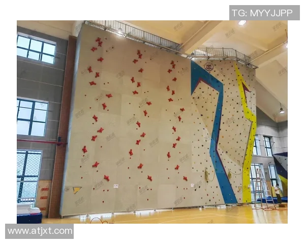 攀岩热潮下的心理素质探讨上海攀岩队的挑战与争议分析